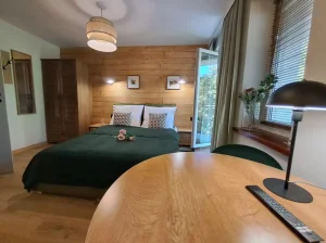 Apartament z balkonem 2